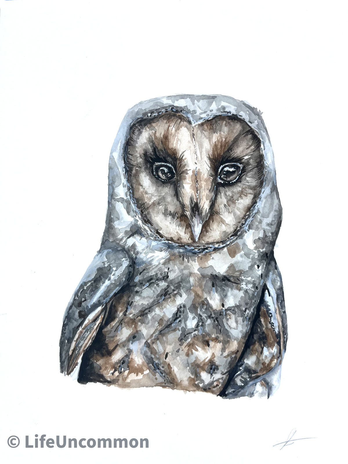 eyeliner owl watercolour print, by Ellena Deen