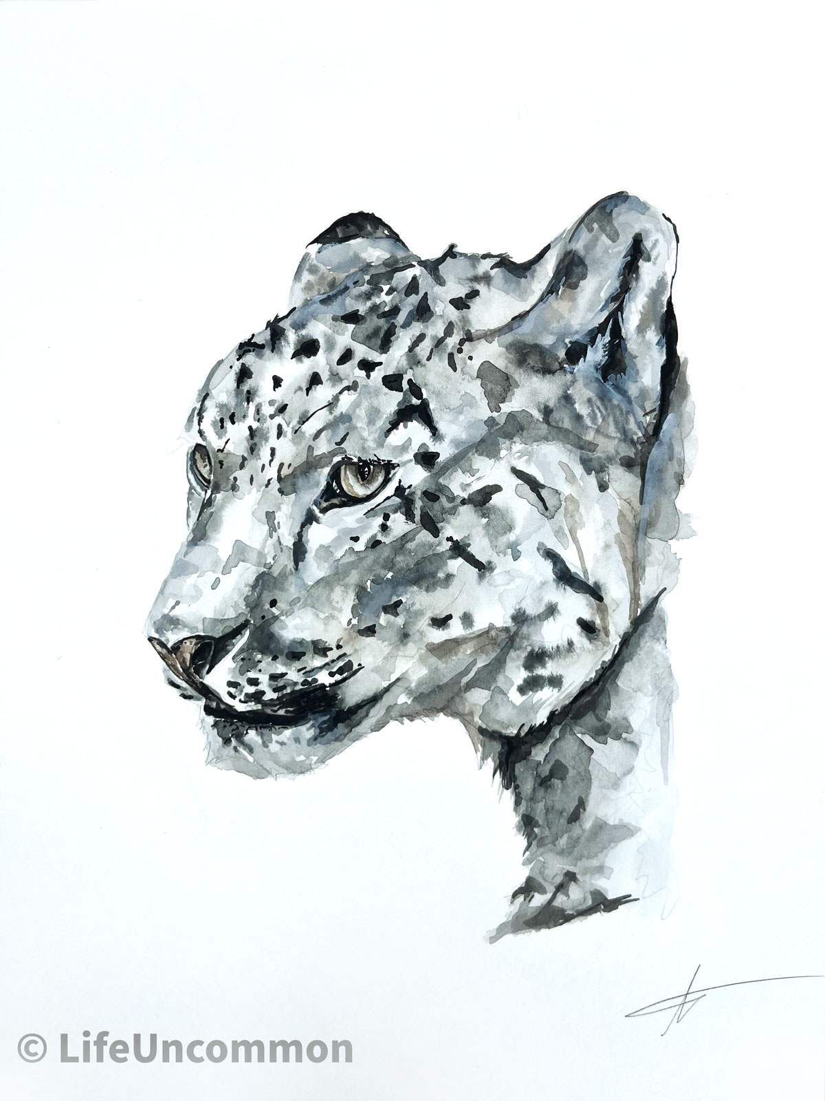 Snow Leopard painting, by Ellena Deen