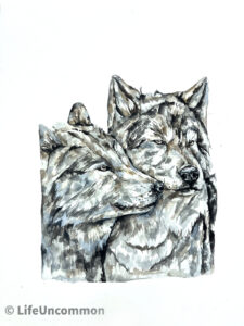 Wolf Couple, by Ellena Deen