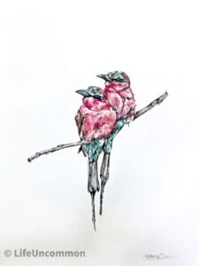 Prink Bird Couple watercolour painting, by Ellena Deen, the life uncommon collective