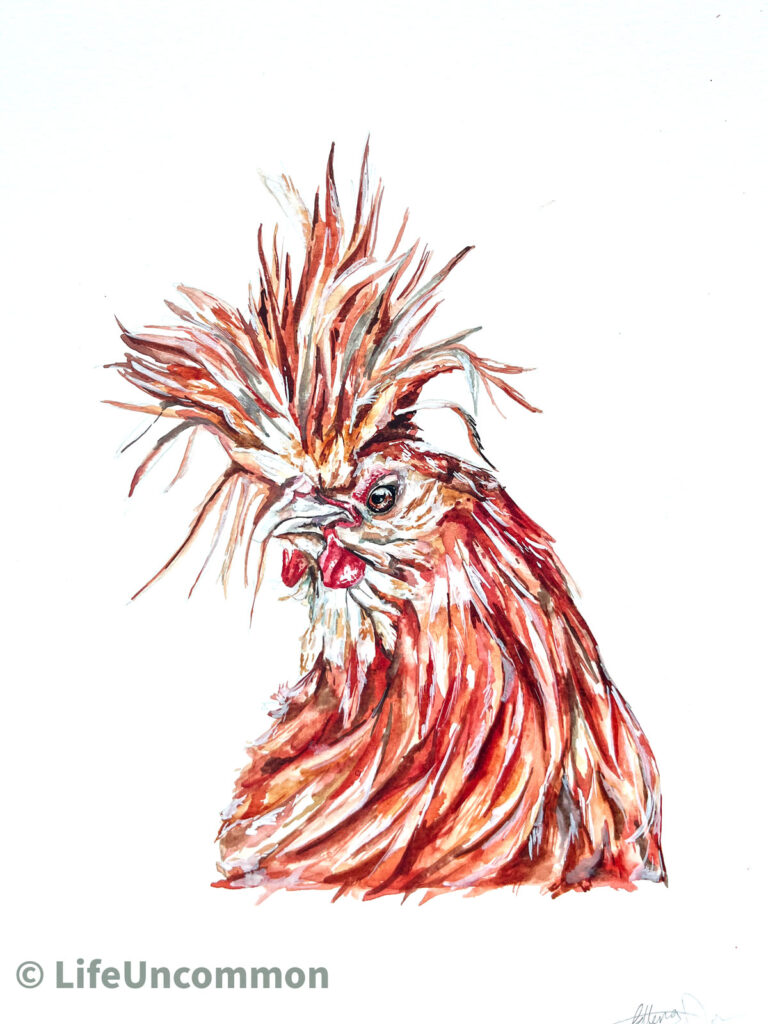 Margaret the Hen, by Ellena Deen