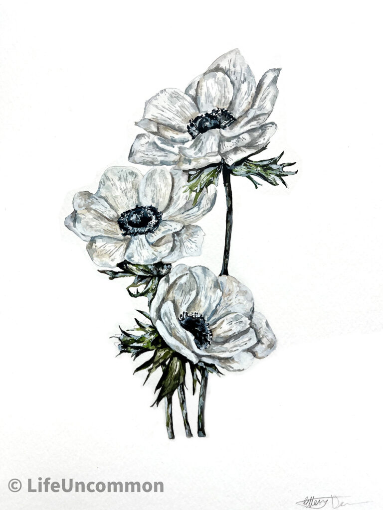 White Flowers watercolour painting, By Ellena Deen