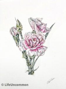 Botanical Pink Rose, By Ellena Deen
