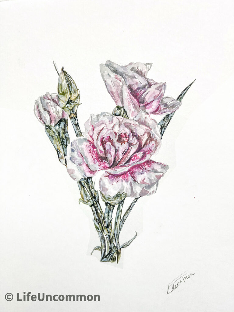 Botanical Pink Rose, By Ellena Deen